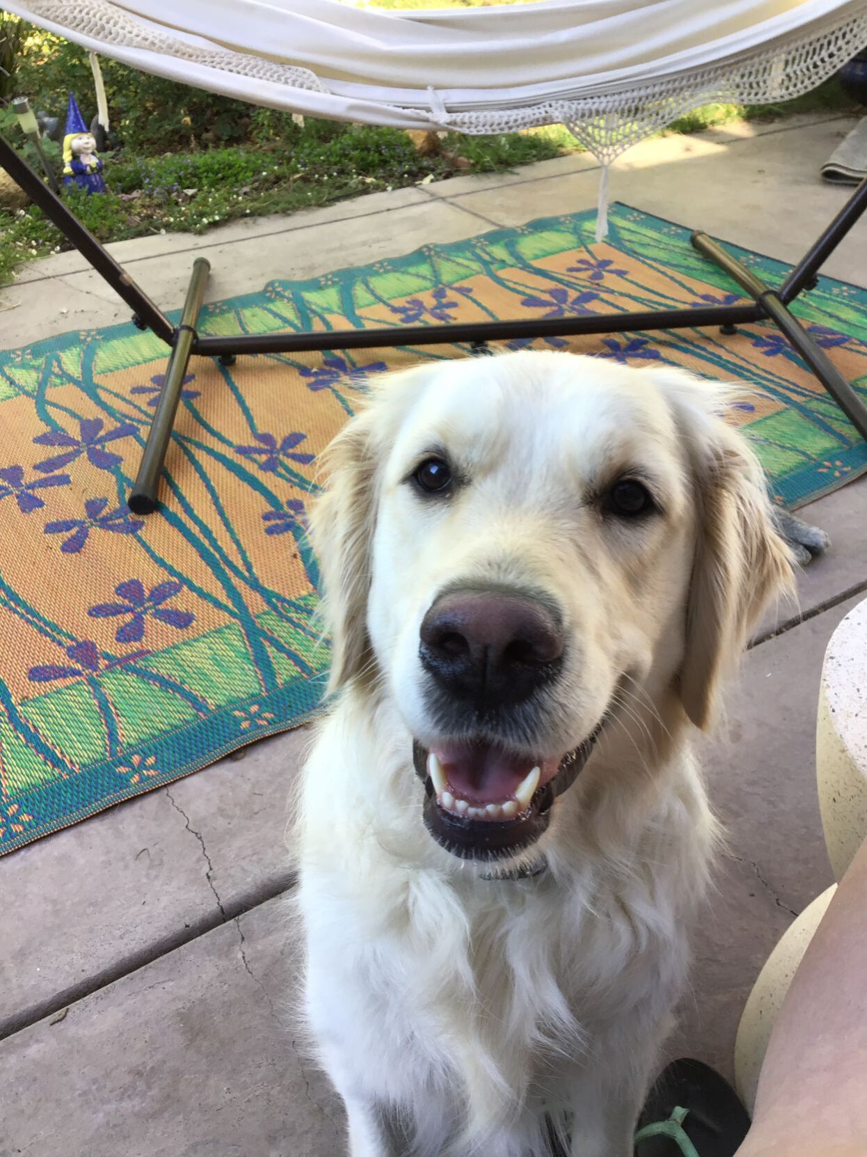 Luna